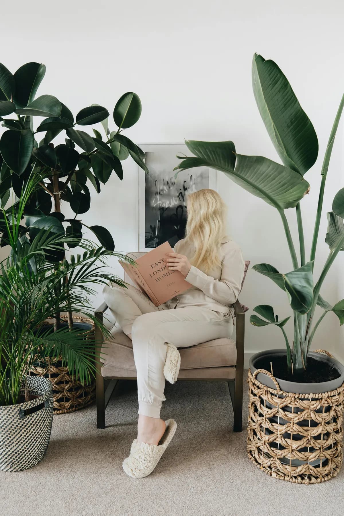 Planten